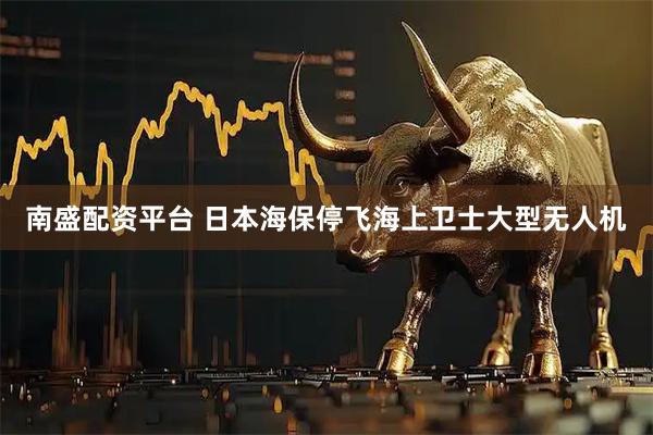 南盛配资平台 日本海保停飞海上卫士大型无人机