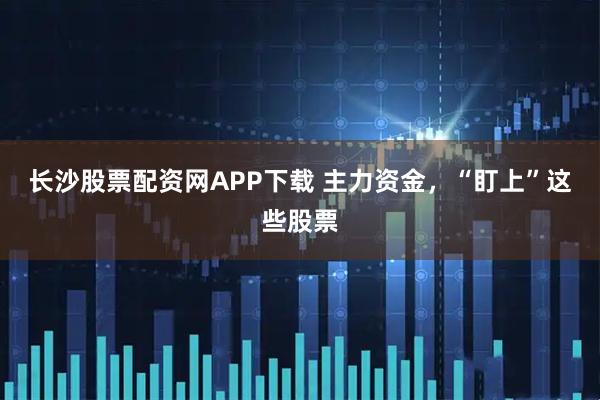 长沙股票配资网APP下载 主力资金，“盯上”这些股票