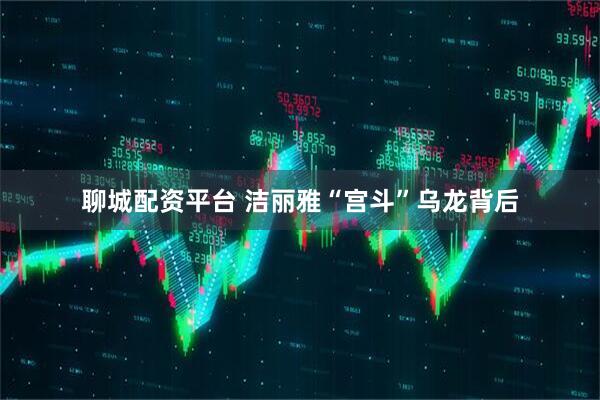聊城配资平台 洁丽雅“宫斗”乌龙背后