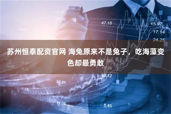 苏州恒泰配资官网 海兔原来不是兔子，吃海藻变色却最勇敢